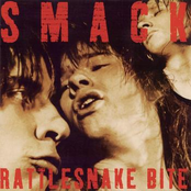 Rattlesnake Bite by Smack