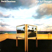 David Sancious: Just as I Thought