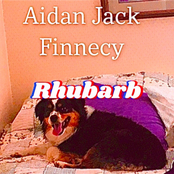 Rhubarb