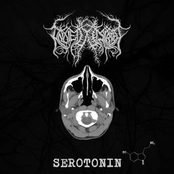 Serotonin