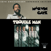 Main Theme From Trouble Man by Marvin Gaye