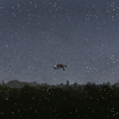 나무에 물방울 머금고