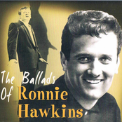 Bluebirds Over The Mountain by Ronnie Hawkins