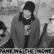 spanking the monkey