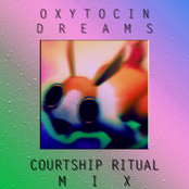 Courtship Ritual Mix