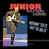 Junior Watson: Nothin' to it but to Do It