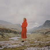 Evergreen In My Mind