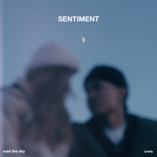 Said The Sky: Sentiment