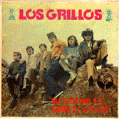 los grillos