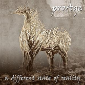 Different State of Reality