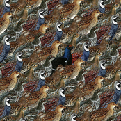 Floating Points Drown