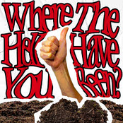 Where The Hell Have You Been?