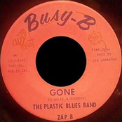 the plastic blues band