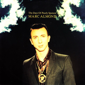Bruises by Marc Almond
