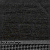 Dashed Upon Stones by Black Boned Angel