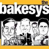 the bakesys