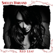 Red Leaf by Shelley Harland
