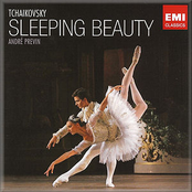 Sleeping Beauty