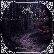 A Desolate Landscape