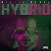 Collie Buddz: Hybrid