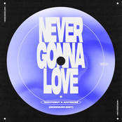 Never Gonna Love (goddard. Edit) - Single