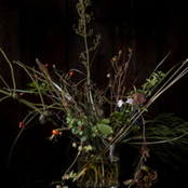 Outtakes, Remixes, Singles, Versions