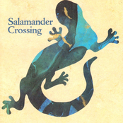 Salamander Crossing