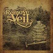 The Crux by Remove The Veil
