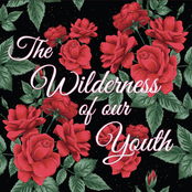 The Wilderness of Our Youth