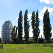 UnderThePoplars(child-mix)