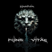 Fons Vitae, Vol. 1