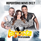 Lagosta Bronzeada 2017