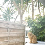 INSTRUMENTALS 1-8 (Instrumental)