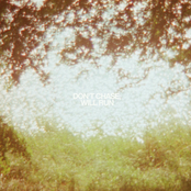 Shadowgraphs: Don't Chase, Will Run