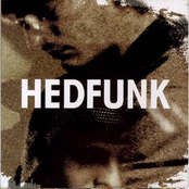 hedfunk