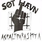 asfaltparasitta