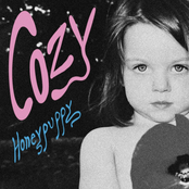 Cozy