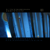 Goodship Glossolalia