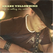 Drive Me Home by Shane Yellowbird