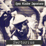 open window imposters