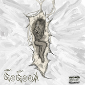 COCOON