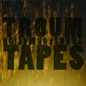 Troum Transformation Tapes : The 20th Anniversary Celebration (1997-2017)