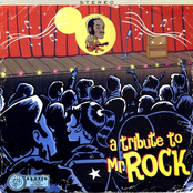 A Tribute To Mr. Rock