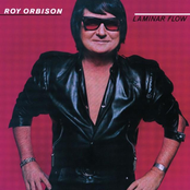 Warm Hot Spot by Roy Orbison