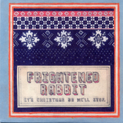 It's Christmas So We'll Stop by Frightened Rabbit