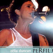 Depois Do Perigo by Zélia Duncan