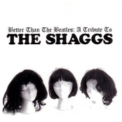 Better Than the Beatles: A Tribute to the Shaggs