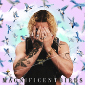 Magnificent Birds