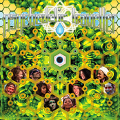 Psychedelic Traveller Vol 1