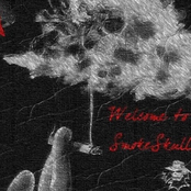 Welcome To SmokeSkull
